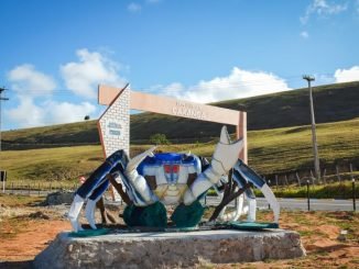 Caranguejo gigante na entrada do povoado caxangá porto calvo - alagoas