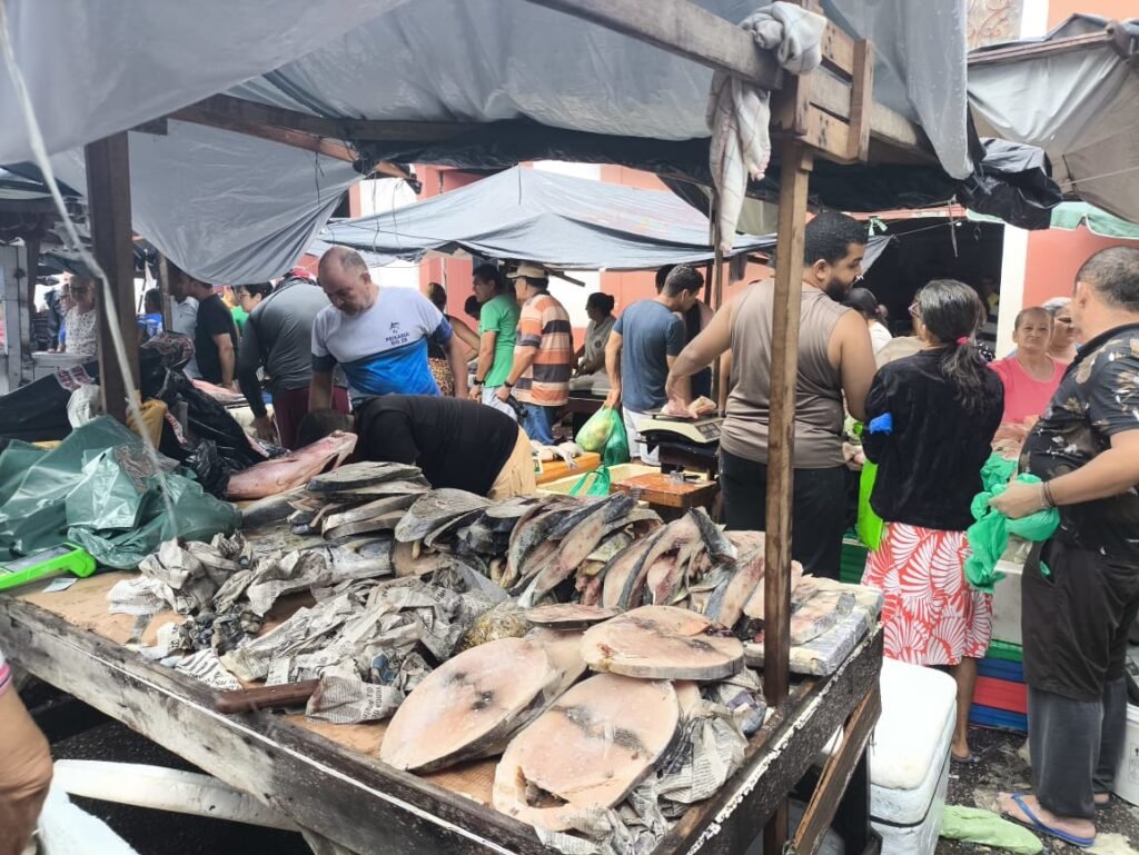 feira do peixe em porto calvo