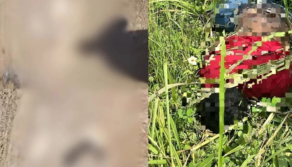 mortes na região norte de alagoas