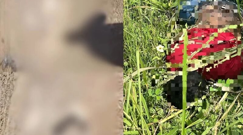 mortes na região norte de alagoas
